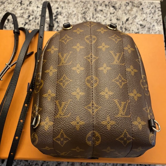 Louis Vuitton Palm Springs Mini (old zipper) - Picture 4 of 13